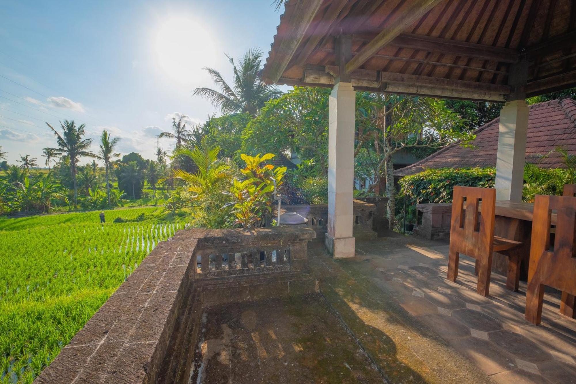 Puri Cili Villa Ubud 외부 사진